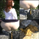 Multiple Japanese woman take shits in an outdoor location nearby a small pond in a park. The cameraman examines the shit after the women leave the scene. About 20 minutes. 211MB, MP4 file requires high-speed Internet.